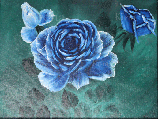 Blue roses