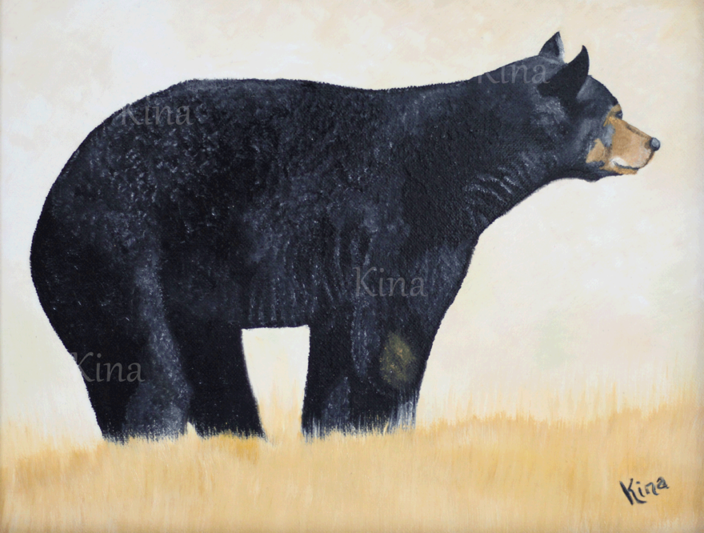 Black bear